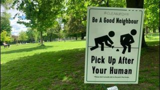 Humans Start Defecating in Open, Toronto Park Puts up 'Be a Good Neighbor, Pick up After Your Human' Signboards