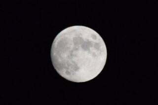 Krishna Amavasya July 2020: Date, Time And Significance of The Day