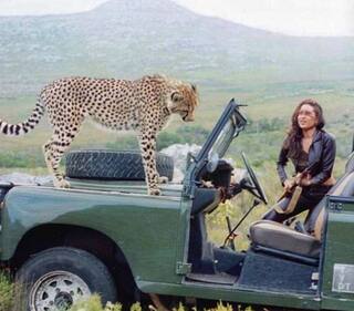 Throwback Photo: शूटिंग के दौरान जब करिश्मा कपूर की जीप पर चढ़ गया था चीता, ऐसी हो गई थी एक्ट्रेस की हालत