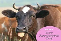 Cow Appreciation Day 2020: History, Significance of This Day And How it is Celebrated