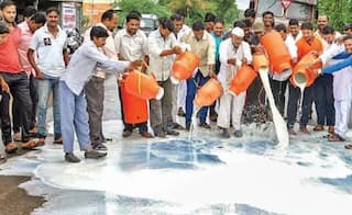 Watch: M'rashtra Farmers Spill Gallons of Milk on Streets to Protest Against Low Prices, Netizens Appalled at Wastage