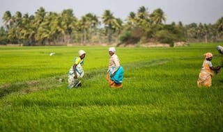 PM Fasal Bima Yojana: किसानों को सरकार देने जा रही बड़ी खुशखबरी! फसल बीमा में होने वाला है बड़ा बदलाव, जानिए क्या