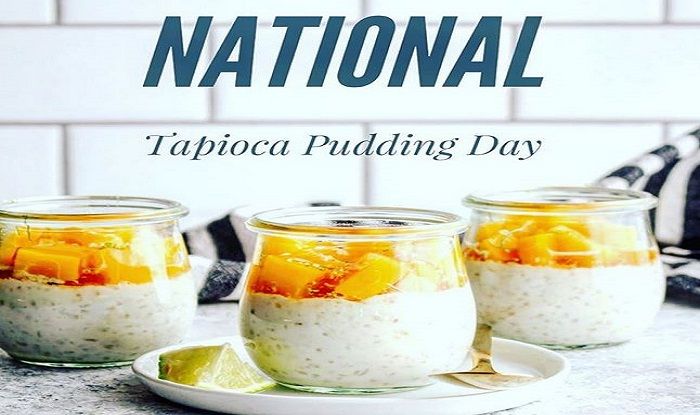 national-tapioca-pudding-day-2020-what-this-day-is-all-about-and-how