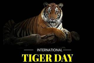 International Tiger Day 2020: Why The day is Important And How it Came Into Being