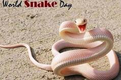 World Snake Day 2020: Celebrating One of The Most Misunderstood Creatures on Earth