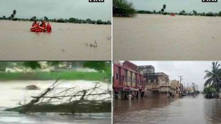 गुजरात में बाढ़ के संकट के बीच कई जिलों में भारी बारिश की चेतावनी, नदी में बहते दिखे जानवर