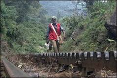 'Deserves Padmashri': Twitter Can't Stop Gushing Over Postman Who Faced 'Wild Elephants'-'Slippery Streams' to Deliver Letters For 30 Years