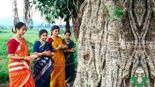 Hariyali Amavasya 2020: हरियाली अमावस्या पर करें ये उपाय, घर में आएगी सुख-समृद्धि