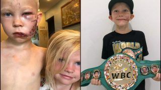 After The Avengers' Stars, World Boxing Council Hail Bridger Walker And Send Him 'Honorary Champion' Belt For Saving Sister From Dog Attack