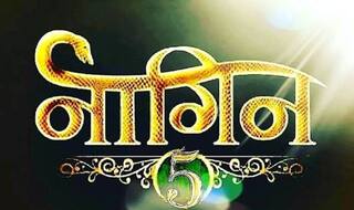 Naagin 5 में अब ये मशहूर एक्टर निभाएंगे लीड रोल, हिना खान के किरदार पर सस्पेंस? 