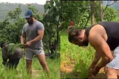 Salman Khan Shares Another Video of Farming, This Time Plants Rice With Rumoured GF Iulia Vantur