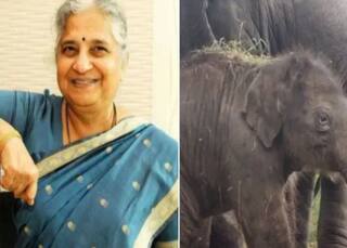 Sudha Murty: यहां के चिड़ियाघर ने नवजात हथिनी का नाम रखा सुधा, जानें क्यों...