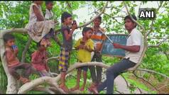 Students & Teachers in Maharashtra Village Climb Trees To Get Mobile Network For Online Classes