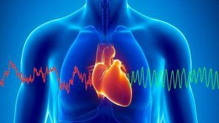 World heart day 2020: आखिर क्यों मनाया जाता है 'विश्व हृदय दिवस', जानें क्या है इसकी अहमियत