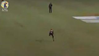 Like a Gymnast | Bravo Takes a Blinder During CPL 2020 Match | WATCH