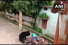 Odisha: कस्‍बे में सुबह-सुबह भालू ने शख्‍स पर किया भयंकर हमला, जानें आगे क्‍या हुआ