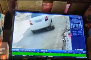 Punjab Man Who Intentionally Ran His Car Over Dog Arrested, 12 Canines Rescued From His House