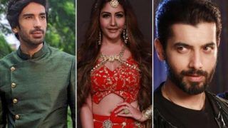 Naagin 5 August 29 Written Update : Latest News, Videos and Photos on