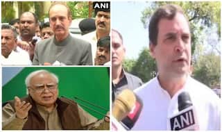 CWC Meet: दो फाड़ हुई कांग्रेस, राहुल गांधी के बयान पर भड़के सिब्बल, आजाद बोले - अगर आरोप साबित हुआ तो...