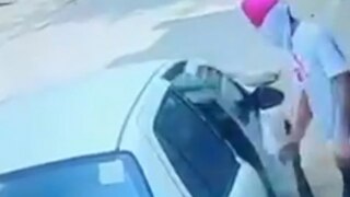 Watch: Punjab Man Intentionally Runs His Car Over Dog, Maneka Gandhi Calls Out the Cruel Act