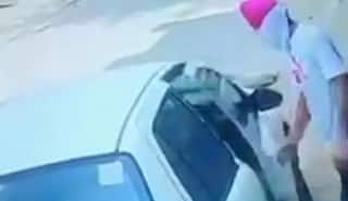 Watch: Punjab Man Intentionally Runs His Car Over Dog, Maneka Gandhi Calls Out the Cruel Act