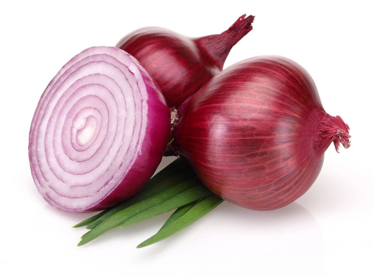 Mystery Salmonella Outbreak That Infected More Than 400 People In The Us Is Linked To Red Onions India Com