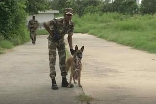 ओसामा बिन लादेन को खोजने वाली नस्ल के डॉग दिल्‍ली मेट्रो की सुरक्षा में होंगे तैनात, ये हैं खासियतें
