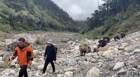 india.com top news
