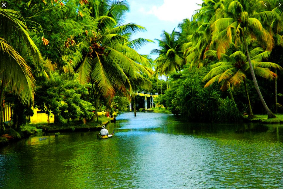 5 Amazing Activities You Must Do in Kerala