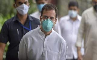 'Save Your Life Because PM Busy With Peacocks': Rahul Gandhi Taunts PM Modi As Covid-19 Cases Surge
