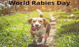 World Rabies Day 2020: Did You Know Rabies Caused More Death in India in The Last 5 Years Than Novel Coronavirus?