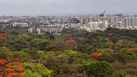 india.com top news