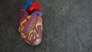World Heart Day 2020: Significance of Having a Healthy Heart