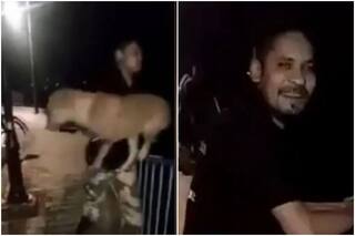 Sickening to The Core! Man Throws Stray Dog Into Lake In Bhopal, Then Smiles For The Camera | Watch