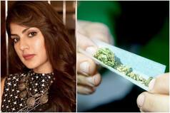 Rhea Chakraborty Arrested in Drugs Case: When & How Did Marijuana Become Illegal in India?