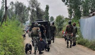 DNA Samples of 3 Men Killed in Shopian Encounter Match With Families From Rajouri: J&K Police
