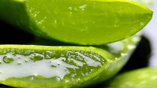 Aloe Gel: 7 Ways to Use This Gel For Glowing, Healthy Skin and Hair