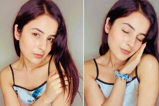 Shehnaaz Gill's Weight Loss Journey: How Bigg Boss 13 Queen Shed 12 Kg in 6 Months