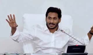 Andhra Pradesh Local Body Polls 2021: Ruling YSRCP Registers Landslide Victory in AP Municipal Elections