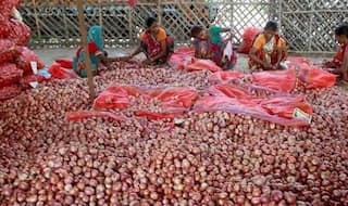 Onion price control: इस सीजन में आंखों के आंसू नहीं निकाल पाएगा प्याज, रिकॉर्ड 2 लाख टन बफर स्टॉक बनाएगी सरकार