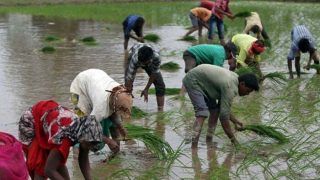 PM Kisan Samman Nidhi Latest Update: पीएम किसान योजना को लेकर ममता बनर्जी ने प्रधानमंत्री को लिखा खत, की यह अपील...जानें ताजा अपडेट