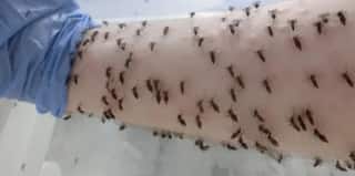 india.com top news