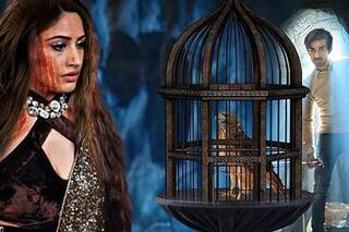 Naagin 5 October 18, 2020 Written Update: Bani To Know About Jay's True Motive? Cheel Aka Sharad Malhotra Makes Grand Entry