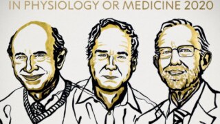 Nobel Prize in Medicine Awarded to Harvey J. Alter, Michael Houghton & Charles M. Rice For Discovery of Hepatitis C Virus