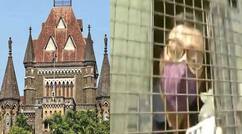 अर्नब गोस्‍वामी को अभी नहीं मिली बेल, बॉम्‍बे हाईकोर्ट में सुनवाई कल भी रहेगी जारी