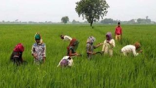 PM Kisan Samman Nidhi Latest News: ममता बनर्जी बोलीं- पीएम-किसान योजना के तहत पूर्ण राशि का नहीं किया गया भुगतान, लड़ाई रहेगी जारी...