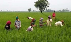 india.com top news