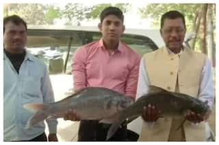 RJD Supporter Brings Fish For Tejashwi As Token Of Luck