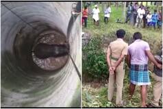 Watch: Elephant Falls into Open Farm Well in TN Village, Rescued After 14-Hour Long Effort