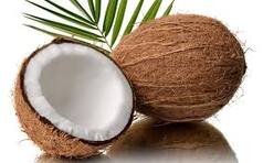 Wow! This Bali College Allows Students to Pay Their College Fees in Coconuts, Here's Why